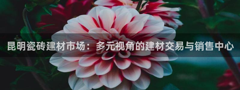 杏鑫平台怎么样