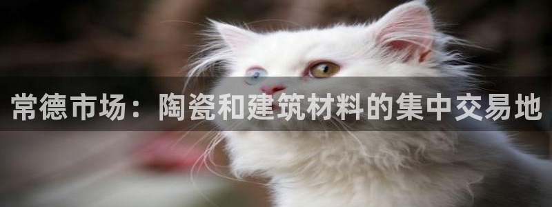 杏鑫注册登录平台是什么