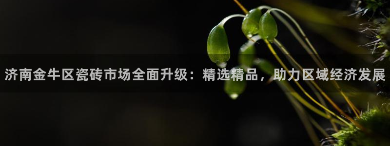 杏鑫平台在线注册