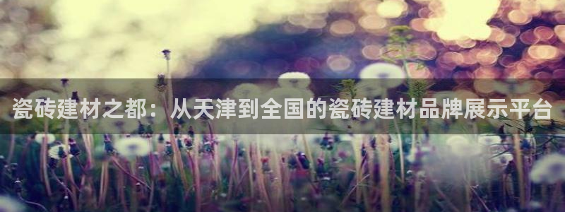 杏鑫平台代理注册多少钱一个