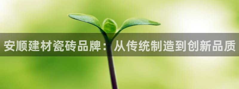 杏鑫官网注册账号