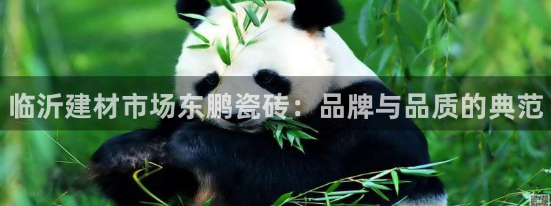 杏鑫手机客户端怎么下载