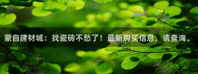 杏鑫官方平台怎么样