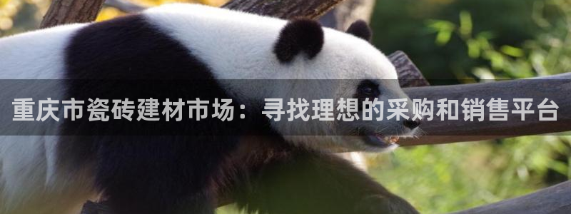 杏鑫平台注册登录