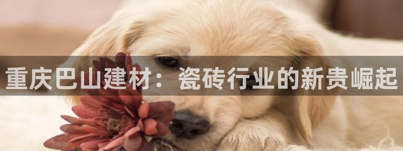 杏鑫娱乐是真的吗