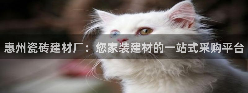 杏鑫娱乐官方网站客户端下载