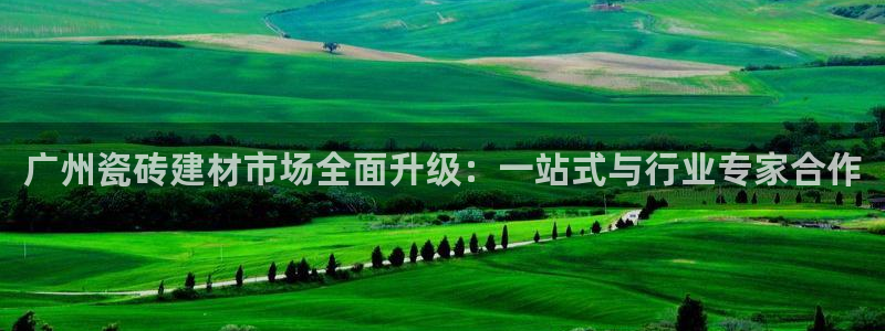 杏鑫平台代理注册多少钱啊