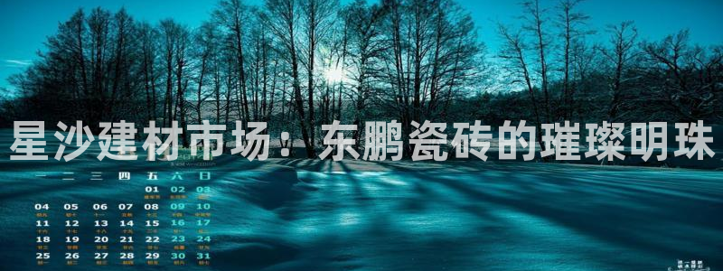 杏鑫平台正规吗是真的吗