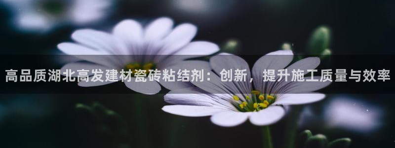 杏鑫官网注册账号怎么注册不了