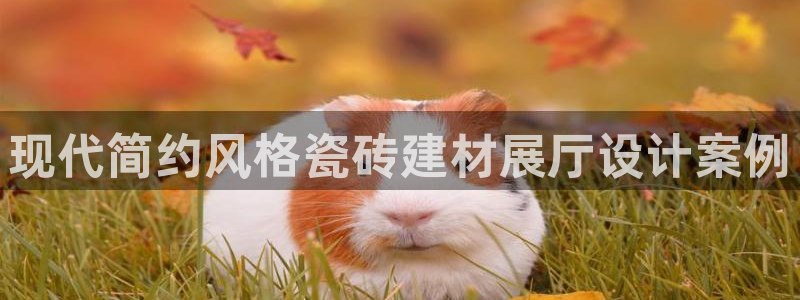 杏鑫平台招商电话号码是多少