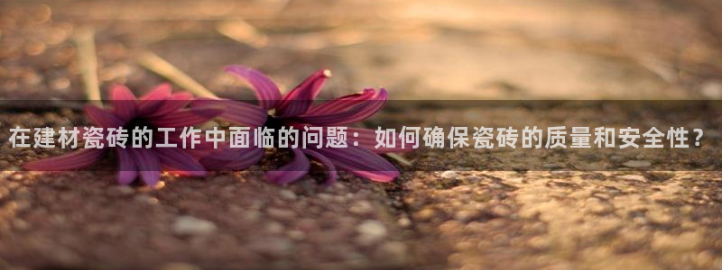 杏鑫平台怎么样知乎