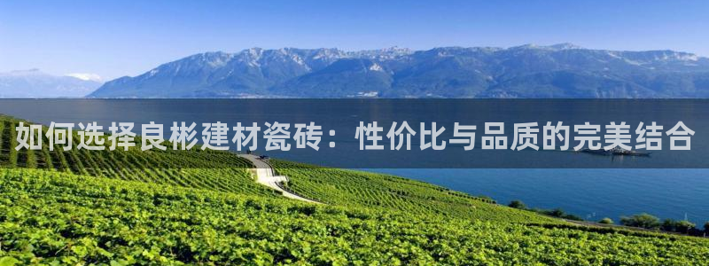 杏鑫平台是黑平台吗知乎