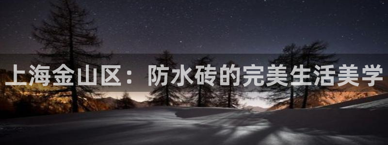 杏鑫平台正规吗可信吗