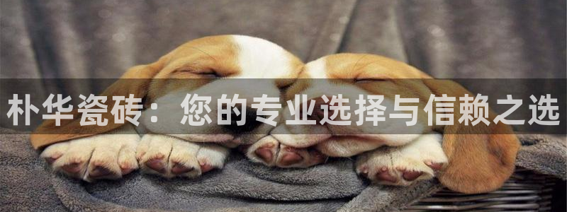 杏鑫官网注册账号密码是什么