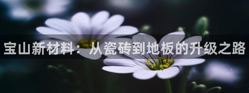 杏鑫官方平台怎么样可靠吗