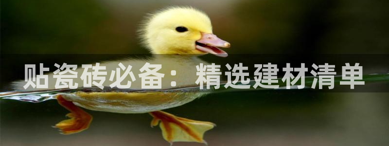 杏鑫官网注册账号密码